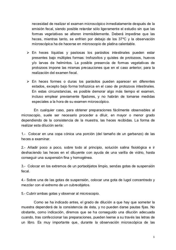 La foto de las lombrices de los parásitos a la persona