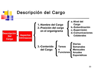 30
Descripción y Análisis de Cargos
 Descripción del Cargo
Descripción
Del
Cargo
Aspectos
Intrínsecos
1.-Nombre del Cargo
2.-Posición del cargo
en el organigrama
3.-Contenido
del Cargo
Tareas
o
Funciones
a.-Nivel del
Cargo
b.-Subordinación
c.-Supervisión
d.-Comunicaciones
Colaterales
Diarias
Semanales
Mensuales
Anuales
Esporádicas
=
 