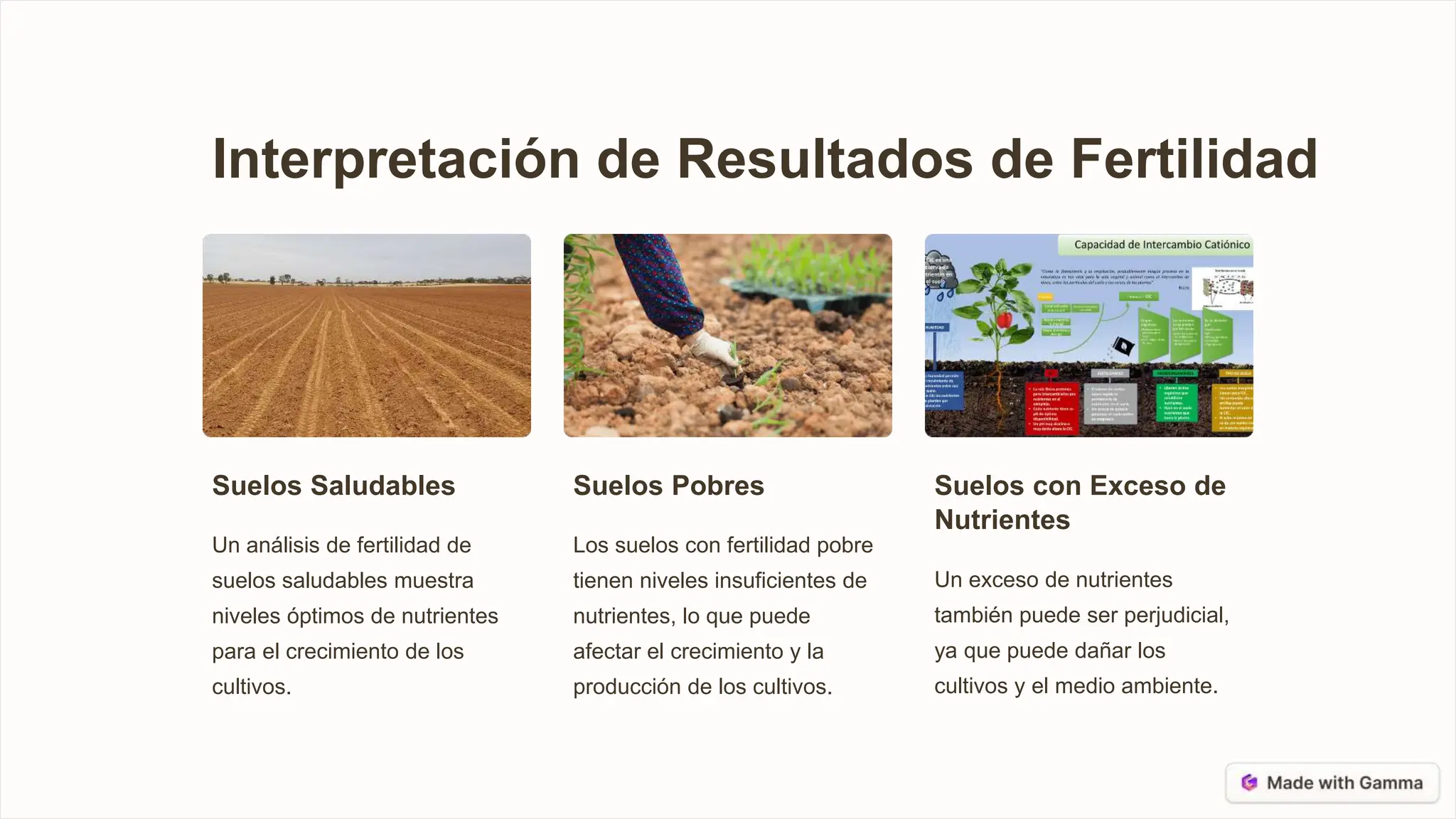 Analisis-de-Fertilidad-de-Suelos para suelos arroceros | PPTX