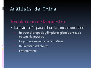 Análisis de Orina <ul><li>Recolección de la muestra  </li></ul><ul><li>La instrucción para el hombre no circuncidado </li>...
