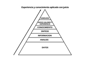 Analisis e Interpretacion de Indicadores Prof Diofante (IV)