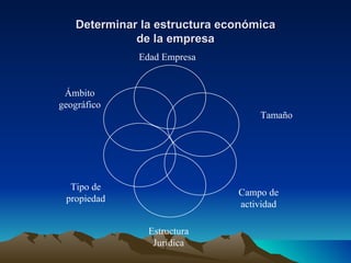 Determinar la estructura económica de la empresa Edad Empresa Tamaño Campo de actividad Estructura Jurídica Tipo de propiedad Ámbito geográfico 