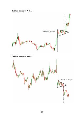 Gráfica: Banderín Alcista




Gráfica: Banderín Bajista




                            47
 
