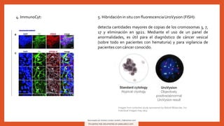 analisis-urologicos-de-laboratorio-150942-downloable-2741337.pdf