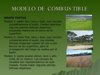 MODELO DE COMBUSTIBLE GRUPO PASTOS Modelo 1: pasto fino, seco y bajo, que recubre completamente el suelo. Pueden aparecer algunas plantas leñosas dispersas ocupando menos de un tercio de la superficie. Modelo 2: pasto fino, seco y bajo, que recubre completamente el suelo. Las plantas leñosas dispersas cubren de uno a dos tercios de las superficie, pero la propagación del fuego se realiza por el pasto. Modelo 3: pasto grueso denso, seco y alto (más de un metro). Los campos de cereales son representativos de este modelo. Puede haber algunas plantas leñosas dispersas. 