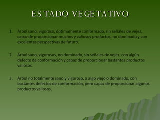 ESTADO VEGETATIVO 