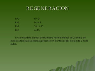 REGENERACION 