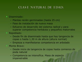 CLASE NATURAL DE EDAD: Diseminado:  Plantas recién germinadas (hasta 25 cm) Fase de instalación de nueva masa Esfuerzo de desarrollo del sistema radical y para superar competencia herbácea y pequeños matorrales Repoblado: Desde fin de diseminado hasta que hay tangencia de copas o hasta 1,30 m de altura (altura normal) Empieza a manifestarse competencia en arbolado Monte Bravo: Desde inicio de tangencia de copas hasta comienzo de poda natural Competencia se intensifica. Masa de aspecto impenetrable 