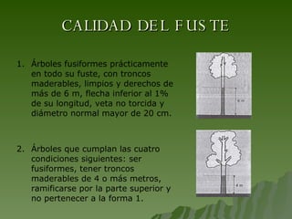 CALIDAD DEL FUSTE 1. Árboles fusiformes prácticamente en todo su fuste, con troncos maderables, limpios y derechos de más de 6 m, flecha inferior al 1% de su longitud, veta no torcida y diámetro normal mayor de 20 cm. 2.  Árboles que cumplan las cuatro condiciones siguientes: ser fusiformes, tener troncos maderables de 4 o más metros, ramificarse por la parte superior y no pertenecer a la forma 1. 