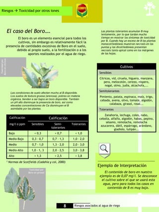 Riesgos                      Toxicidad por otros iones




                   El caso del Boro….                                                           Las plantas tolerantes acumulan B muy
                                                                                                lentamente, por lo que tardan mucho
                       El boro es un elemento esencial para todos los                           tiempo en mostrar los síntomas de toxicidad
                                                                                                por B. Cuando hay un exceso de B las plantas
                       cultivos, sin embargo es relativamente fácil la                          monocotiledóneas muestran necrosis en las
               presencia de cantidades excesivas de Boro en el suelo,                           puntas y las dicotiledóneas presentan
                      debido al propio suelo, a la fertilización o a los                        necrosis tanto apical como en los márgenes
                              aportes realizados por el agua de riego.                          de las hojas.
Boro en cítricos
 Toxicidad por




                                                                                                                 Cultivos
                                                                                              Sensibles
                                                                                              Cítricos, vid, ciruela, higuera, manzana,
                                                                                                 pera, melocotón, cerezo, níspero,
                                                                                                  nogal, olmo, judía, alcachofa,...
                                                                                              Semitolerantes
                        Las condiciones de suelo afectan mucho al B disponible.
                        Los suelos de textura gruesa (arenosa), pobres en materia             Pimiento, patata, espinaca, maíz, trigo,
                        orgánica, tienden a ser bajos en boro disponible. También             cebada, avena, olivo, tomate, algodón,
                        un pH alto disminuye la presencia de boro, así como
                                                                                                     calabaza, girasol, rosal...
                        elevadas concentraciones de Ca disminuyen el B
                        asimilable por las plantas.                                           Tolerantes
                                                                                                  Zanahoria, lechuga, coles, nabo,
                       Calificación                     Calificación                          cebolla, alfalfa, algodón, habas, pepino,
                                                                                                   sésamo, remolacha, remolacha
                       mg/l o ppm        Sensibles         Semi-          Tolerantes
                                                                                               azucarera, dátil, espárrago, arándano,
                                                         tolerantes
                                                                                                         gladiolo, tulipán...
                       Bajo                < 0,3            < 0,7            < 1,0
                       Medio-Bajo        0,3 – 0,7        0,7 – 1,3        1,0 – 2,0
                       Medio             0,7 – 1,0        1,3 – 2,0        2,0 – 3,0
                       Medio-Alto        1,0 – 1, 3       2,0 – 2,5        3,0 – 3,8
                       Alto                > 1,3            > 2,5            > 3,8
                   1   Normas de Scotfields (Cadahía y col, 2000)
                                                                                             Ejemplo de Interpretación
                                       Toxicidad por
                                      Boro en girasol                                            El contenido de boro en nuestro
                                                                                              ejemplo es de 0,07 mg/l. Se desconoce
                                                                                               el cultivo sobre el que se usará esta
                                                                                                agua, pero para todos los casos en
                                                                                                   contenido de B es muy bajo.




                                                                    8       Riesgos asociados al agua de riego
 