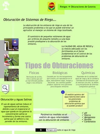 Riesgos        Obturaciones de Goteros




  Obturación de Sistemas de Riego….
                        La obstrucción de los emisores de riego es uno de los
                        principales problemas a los que se puede enfrentar un
                        agricultor al manejar un sistema de riego localizado.


                             El suministro de pequeños volúmenes de agua
                             por orificios de pequeño tamaño y a una baja
                             presión predispone a la obturación de los
                             emisores.
                                                                 La CALIDAD DEL AGUA DE RIEGO y
                                                                 su mezcla adecuada con los
                                                                 fertilizantes es el factor
                                                                 fundamental en el control de los
                                                                 problemas de obturación de
                                                                 emisores.



                         Tipos de Obturaciones
                              Físicas                       Biológicas                          Químicas
                           Partículas de arcilla,    Causado por los microorganismos       Dependen de la calidad del
                           limo o arena que por      que crecen y se reproducen en el    agua de riego y de la calidad y
                          un mal filtrado pueden    agua, básicamente algas, hongos y     cantidad de fertilizantes que
                           llegar a los emisores      bacterias. Sus colonias pueden     se mezclan con ella. Se deben
                                                     producir material vivo suficiente    a la precipitación de diversos
                                                         para bloquear emisores                compuestos químicos


                                                                         i
                                                                              El análisis químico del
                                                                             agua informa bien sobre
Obturación y Aguas Salinas                                                        los potenciales
                                                                                   problemas de
El uso de aguas salinas induce el                                            obturación química que
   taponamiento de emisores,                                                    se pueden producir
  debido a que al evaporarse el
agua que queda en los goteros la
     concentración salina se                                                                        pH
                                             Parámetros medidos en el                               Hierro
 incrementa y forma una costra             análisis de agua relacionados                            Manganeso
   salina que se adhiere a las                                                                      Dureza
                                           con la obturación de emisores
    paredes de los emisores.                                                                        Carbonatos


                                            9       Riesgos asociados al agua de riego
 