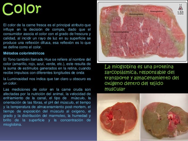PIA equipo 6 Parametros de la calidad de la carne