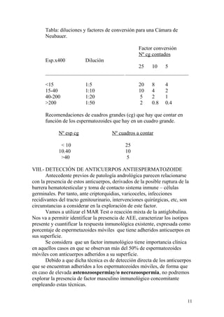 Tabla: diluciones y factores de conversión para una Cámara de
Neubauer.
Factor conversión
Nº cg contados
Esp.x400 Dilución
25 10 5
______________________________ ________________________
<15 1:5 20 8 4
15-40 1:10 10 4 2
40-200 1:20 5 2 1
>200 1:50 2 0.8 0.4
Recomendaciones de cuadros grandes (cg) que hay que contar en
función de los espermatozoides que hay en un cuadro grande.
Nº esp cg Nº cuadros a contar
< 10 25
10.40 10
>40 5
VIII.- DETECCIÓN DE ANTICUERPOS ANTIESPERMATOZOIDE
Antecedente previos de patología andrológica parecen relacionarse
con la presencia de estos anticuerpos, derivados de la posible ruptura de la
barrera hematotesticular y toma de contacto sistema inmune – células
germinales. Por tanto, ante criptorquidias, varicoceles, infecciones
recidivantes del tracto genitourinario, intervenciones quirúrgicas, etc, son
circunstancias a considerar en la exploración de este factor.
Vamos a utilizar el MAR Test o reacción mixta de la antiglobulina.
Nos va a permitir identificar la presencia de AEE, caracterizar los isotipos
presente y cuantificar la respuesta inmunológica existente, expresada como
porcentaje de espermetazoides móviles que tiene adheridos anticuerpos en
sus superficie.
Se considera que un factor inmunológico tiene importancia clínica
en aquellos casos en que se observan más del 50% de espermatozoides
móviles con anticuerpos adheridos a su superficie.
Debido a que dicha técnica es de detección directa de los anticuerpos
que se encuentran adheridos a los espermatozoides móviles, de forma que
en caso de elevada astenozoospermiay/o necrozoospermia, no podremos
explorar la presencia de factor masculino inmunológico concomitante
empleando estas técnicas.
11
 