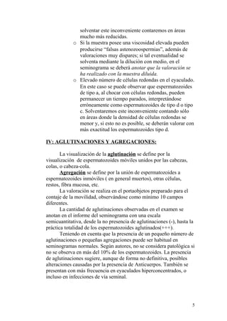 solventar este inconveniente contaremos en áreas
mucho más reducidas.
o Si la muestra posee una viscosidad elevada pueden
producirse “falsas astenozoospermias”, además de
valoraciones muy dispares; si tal eventualidad se
solventa mediante la dilución con medio, en el
seminograma se deberá anotar que la valoración se
ha realizado con la muestra diluida.
o Elevado número de células redondas en el eyaculado.
En este caso se puede observar que espermatozoides
de tipo a, al chocar con células redondas, pueden
permanecer un tiempo parados, interpretándose
erróneamente como espermatozoides de tipo d o tipo
c. Solventaremos este inconveniente contando sólo
en áreas donde la densidad de células redondas se
menor y, si esto no es posible, se deberán valorar con
más exactitud los espermatozoides tipo d.
IV: AGLUTINACIONES Y AGREGACIONES:
La visualización de la aglutinación se define por la
visualización de espermatozoides móviles unidos por las cabezas,
colas, o cabeza-cola.
Agregación se define por la unión de espermatozoides a
espermatozoides inmóviles ( en general muertos), otras células,
restos, fibra mucosa, etc.
La valoración se realiza en el portaobjetos preparado para el
contaje de la movilidad, observándose como mínimo 10 campos
diferentes.
La cantidad de aglutinaciones observadas en el examen se
anotan en el informe del seminograma con una escala
semicuantitativa, desde la no presencia de aglutinaciones (-), hasta la
práctica totalidad de los espermatozoides aglutinados(+++).
Teniendo en cuenta que la presencia de un pequeño número de
aglutinaciones o pequeñas agregaciones puede ser habitual en
seminogramas normales. Según autores, no se considera patológica si
no se observa en más del 10% de los espermatozoides. La presencia
de aglutinaciones sugiere, aunque de forma no definitiva, posibles
alteraciones causadas por la presencia de Anticuerpos. También se
presentan con más frecuencia en eyaculados hiperconcentrados, o
incluso en infecciones de vía seminal.
5
 