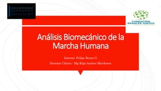 Análisis Biomecánico de la
Marcha Humana
Interno: Felipe Reyes G
Docente Clinico : Mg Klgo Andres Mardones
 