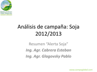 Análisis de campaña: Soja
2012/2013
Resumen “Alerta Soja”
Ing. Agr. Cabrera Esteban
Ing. Agr. Glagovsky Pablo
www.campoglobal.com
 