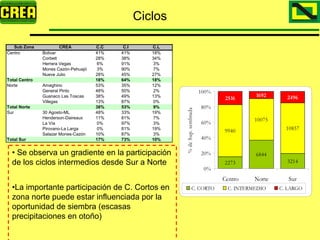 Analisis Campaña Trigo 08 09