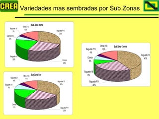 Analisis Campaña Trigo 08 09