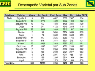 Analisis Campaña Trigo 08 09