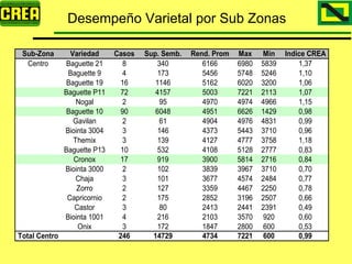 Analisis Campaña Trigo 08 09