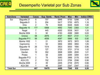 Analisis Campaña Trigo 08 09
