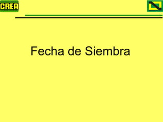Analisis Campaña Trigo 08 09