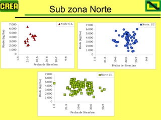 Analisis Campaña Trigo 08 09