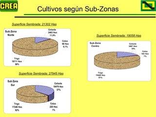 Analisis Campaña Trigo 08 09