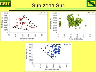 Analisis Campaña Trigo 08 09