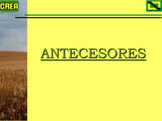 Analisis Campaña Trigo 08 09