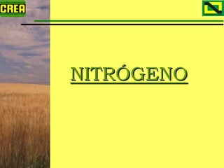 Analisis Campaña Trigo 08 09