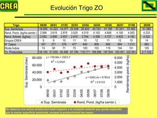 Analisis Campaña Trigo 08 09