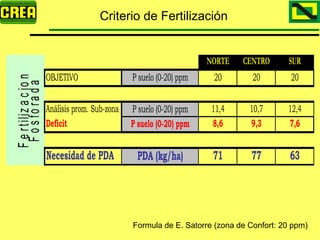 Analisis Campaña Trigo 08 09