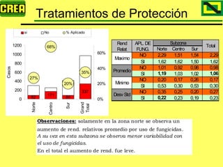 Analisis Campaña Trigo 08 09