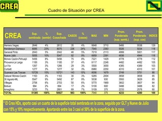 Analisis Campaña Trigo 08 09