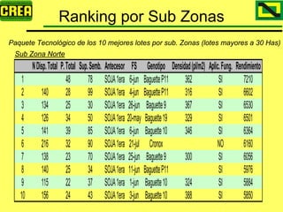 Analisis Campaña Trigo 08 09