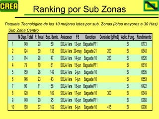 Analisis Campaña Trigo 08 09