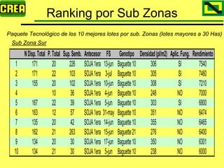 Analisis Campaña Trigo 08 09