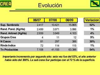 Analisis Campaña Trigo 08 09