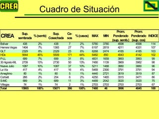 Analisis Campaña Trigo 08 09