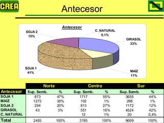 Analisis Campaña Trigo 08 09