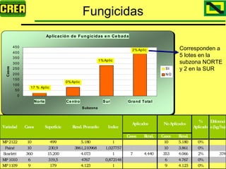 Analisis Campaña Trigo 08 09