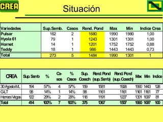 Analisis Campaña Trigo 08 09