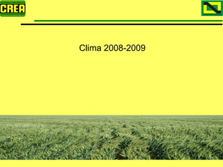 Analisis Campaña Trigo 08 09