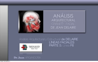 Dr. Juan ARGANDOÑA
Análisis Arquitectural y Estructural de DELAIRE
LÍNEAS FACIALES
PARTE 5: Línea F6
domingo, 18 de octubre de 15
 