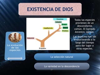 EXISTENCIA DE DIOS
Todas las especies
provienen de un
descendiente
común. El llamado
Ancestro común.
Las especies han ido
evolucionando a lo
largo del tiempo
para dar lugar a
otras especies.
La selección natural
La variedad en la descendencia
29
 