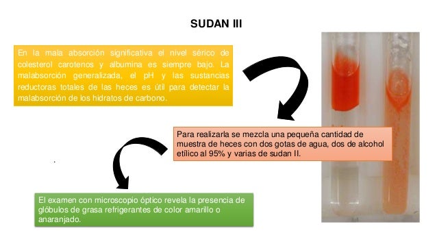 ANALISIS CLINICO ( COPROLOGIA FUNCIONAL)