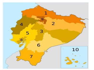 Pirámide de Kensel: Constitución 2008 
 