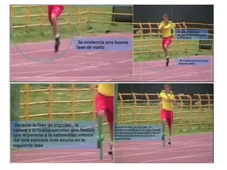 Analisis cualitativo