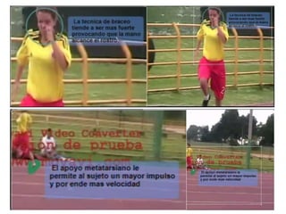 Analisis cualitativo